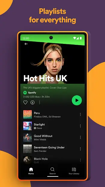 Spotify app detail