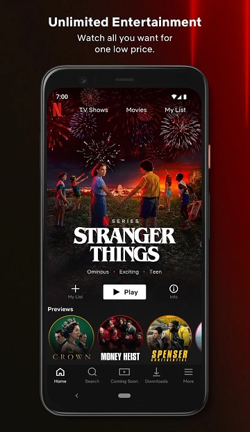 Netflix app detail