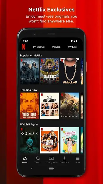 Netflix app detail