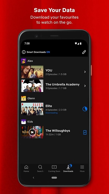 Netflix app detail