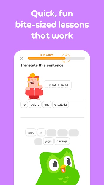 Duolingo app detail
