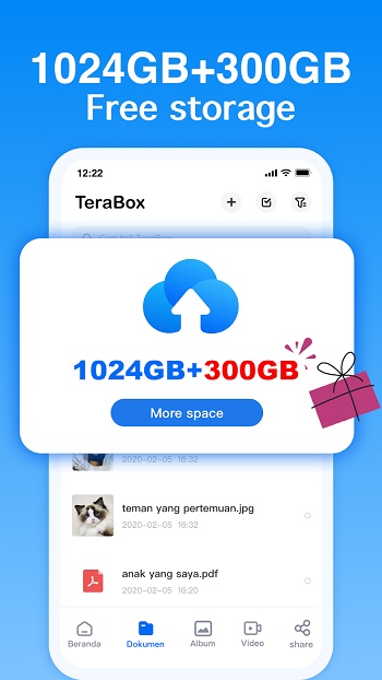 Terabox app detail