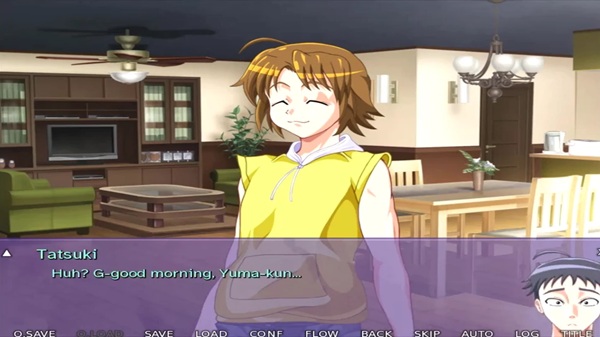 Indecent Wife Hana APK Download