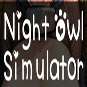 Logo Night Owl Simulator