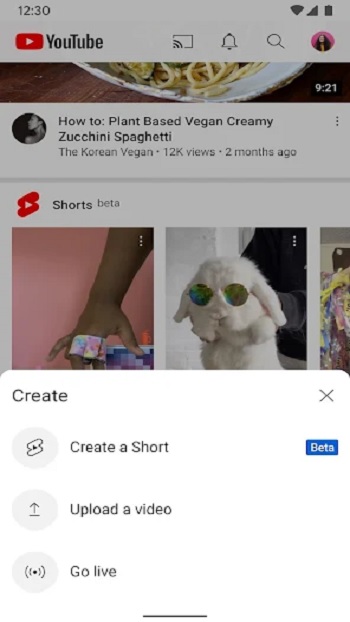 YouTUbe ReVanced APP Detail